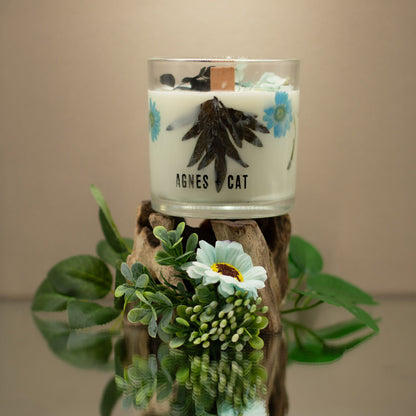 Agnes + Cat Botanical Soy Wax Candle – Sea Salt &amp; Moss 350g