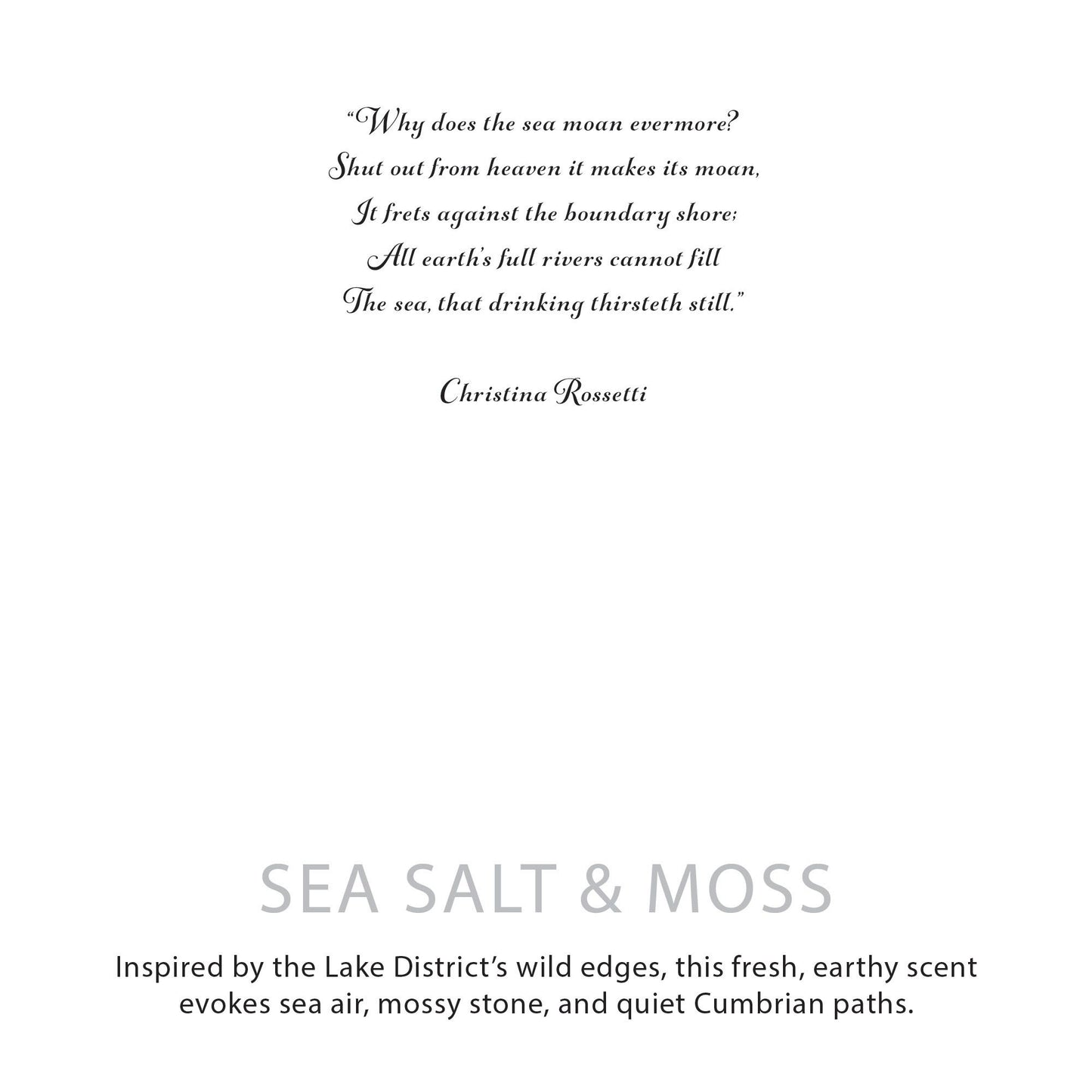 Agnes + Cat Botanical Soy Wax Candle – Sea Salt &amp; Moss 350g