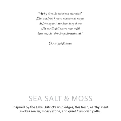 Agnes + Cat Botanical Soy Wax Candle – Sea Salt &amp; Moss 350g